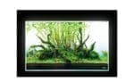 Light screen - Image 3