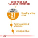 Feline care nutrition hair & skin - Image 3