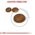 Feline care nutrition hair & skin - Image 4