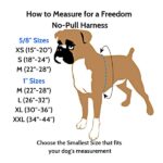 Freedom no-pull harness and leash - red - Image 5