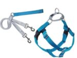 Freedom no-pull harness and leash - turquoise