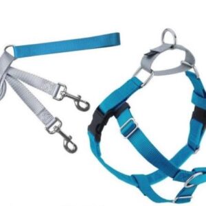 Freedom no-pull harness and leash - turquoise