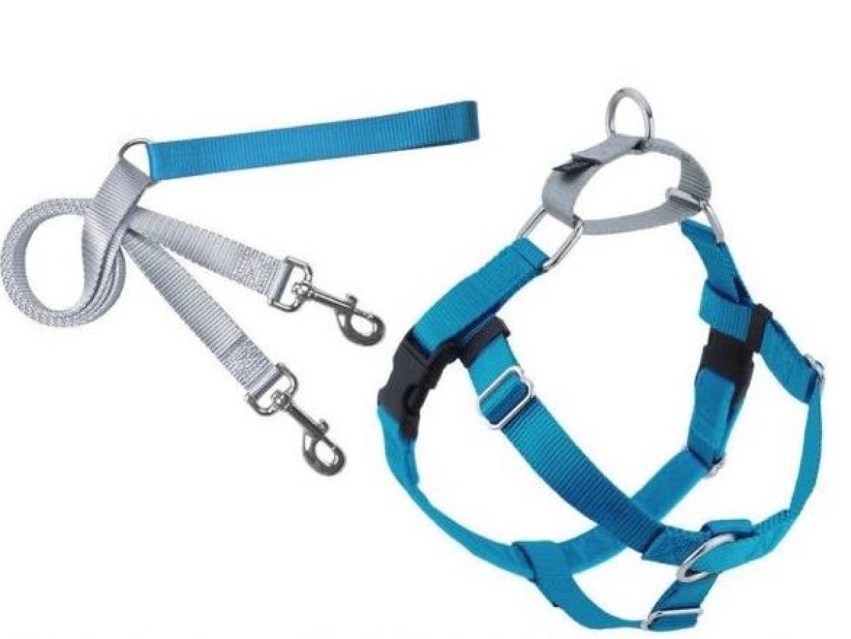 HUPKLGTQ Freedom no-pull harness and leash - turquoise - Image 1