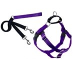 Freedom no-pull harness and leash - purple
