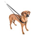 Freedom no-pull harness and leash - royal blue - Image 3
