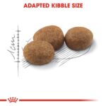 FELINE HEALTH NUTRITION STERILISED - 2kg - Image 5