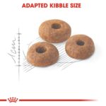 Feline health nutrition fit 32 - Image 3