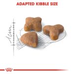 Feline health nutrition sensible - Image 3