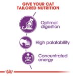 Feline health nutrition sensible - Image 5