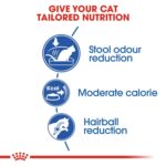 Feline health nutrition indoor - Image 3