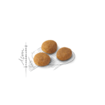 Feline Health Nutrition Exigent Aroma 2 Kg - Image 5