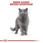 FELINE BREED NUTRITION BRITISH SHORTHAIR - Image 4