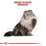 Feline breed nutrition persian adult - Image 3