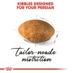 Feline breed nutrition persian adult - Image 4