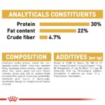 Feline breed nutrition persian adult - Image 6