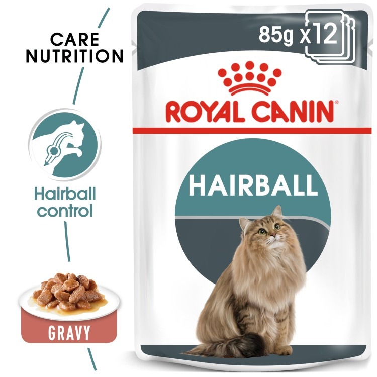RO237450 21 NUTRITION HAIRBALL GRAVY