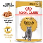 Feline Breed Nutrition British Shorthair Adult