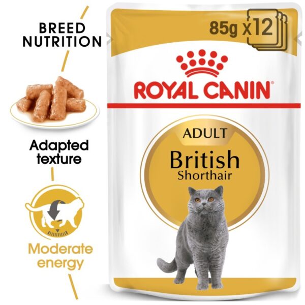 Feline Breed Nutrition British Shorthair Adult