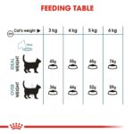 Feline care nutrition hairball care - Image 6