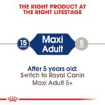 Size health nutrition maxi adult - Image 2