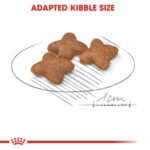 Size health nutrition mini adult - Image 5