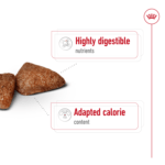 Small Dog, Big Deal! Buy 2-SIZE HEALTH NUTRITION MINI INDOOR ADULT 1.5 KG - Image 6