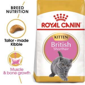 Royal Canin British Shorthair Cat Food