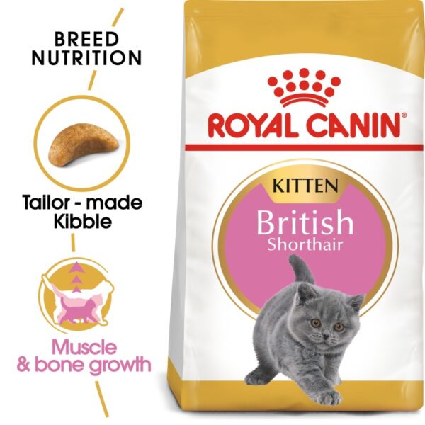 Royal Canin British Shorthair Cat Food