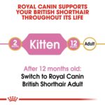 FELINE BREED NUTRITION BRITISH SHORTHAIR - KITTEN 2 KG - Image 6