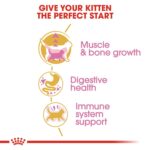 FELINE BREED NUTRITION BRITISH SHORTHAIR - KITTEN 2 KG - Image 8