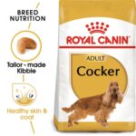 COCKER ADULT