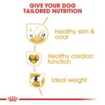 BREED HEALTH NUTRITION GOLDEN RETRIEVER - Image 4