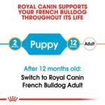 Bulldog Boost! Buy 2-Breed Health Nutrition French Bulldog Puppy 3 kg - Image 7