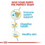 Bulldog Boost! Buy 2-Breed Health Nutrition French Bulldog Puppy 3 kg - Image 6