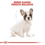 Bulldog Boost! Buy 2-Breed Health Nutrition French Bulldog Puppy 3 kg - Image 5