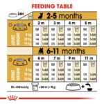 Bulldog Boost! Buy 2-Breed Health Nutrition French Bulldog Puppy 3 kg - Image 4