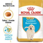 BREED HEALTH NUTRITION GOLDEN RETRIEVER PUPPY