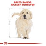 BREED HEALTH NUTRITION GOLDEN RETRIEVER - PUPPY 12 KG - Image 5