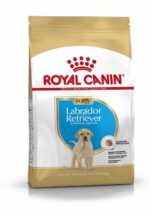 Breed health nutrition labrador puppy - Image 2