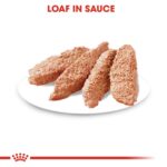 CANINE CARE NUTRITION - Image 2