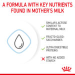 Size Health Nutrition Babydog Milk 400 G - Image 3