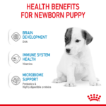 Size Health Nutrition Babydog Milk 400 G - Image 4