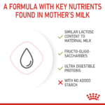 Feline Health Nutrition Babycat Milk 300 G - Image 4
