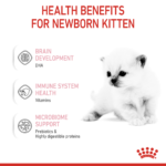 Feline Health Nutrition Babycat Milk 300 G - Image 5