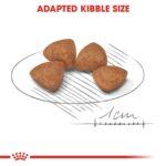 Size Health Nutrition Xs Puppy 1.5 Kg - Image 6