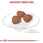 Size health nutrition mini puppy - MINI INDOOR PUPPY 1.5 KG - Image 4