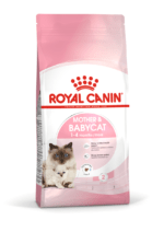 Feline health nutrition mother & babycat - Image 2