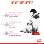 Feline health nutrition mother & babycat - Image 3