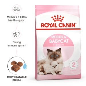 Feline health nutrition mother & babycat
