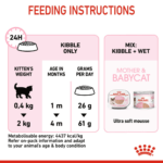 Feline health nutrition mother & babycat - Image 7